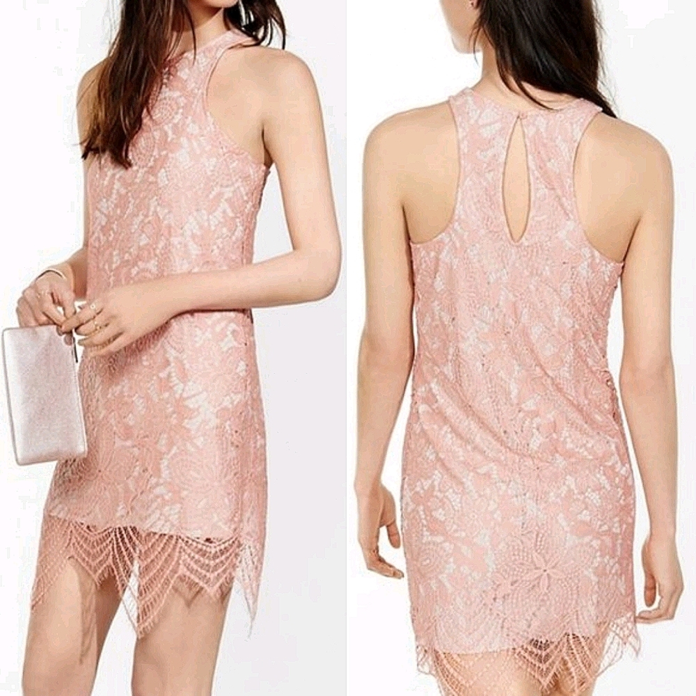 Express Blush Lace Contrast Sheath Dress